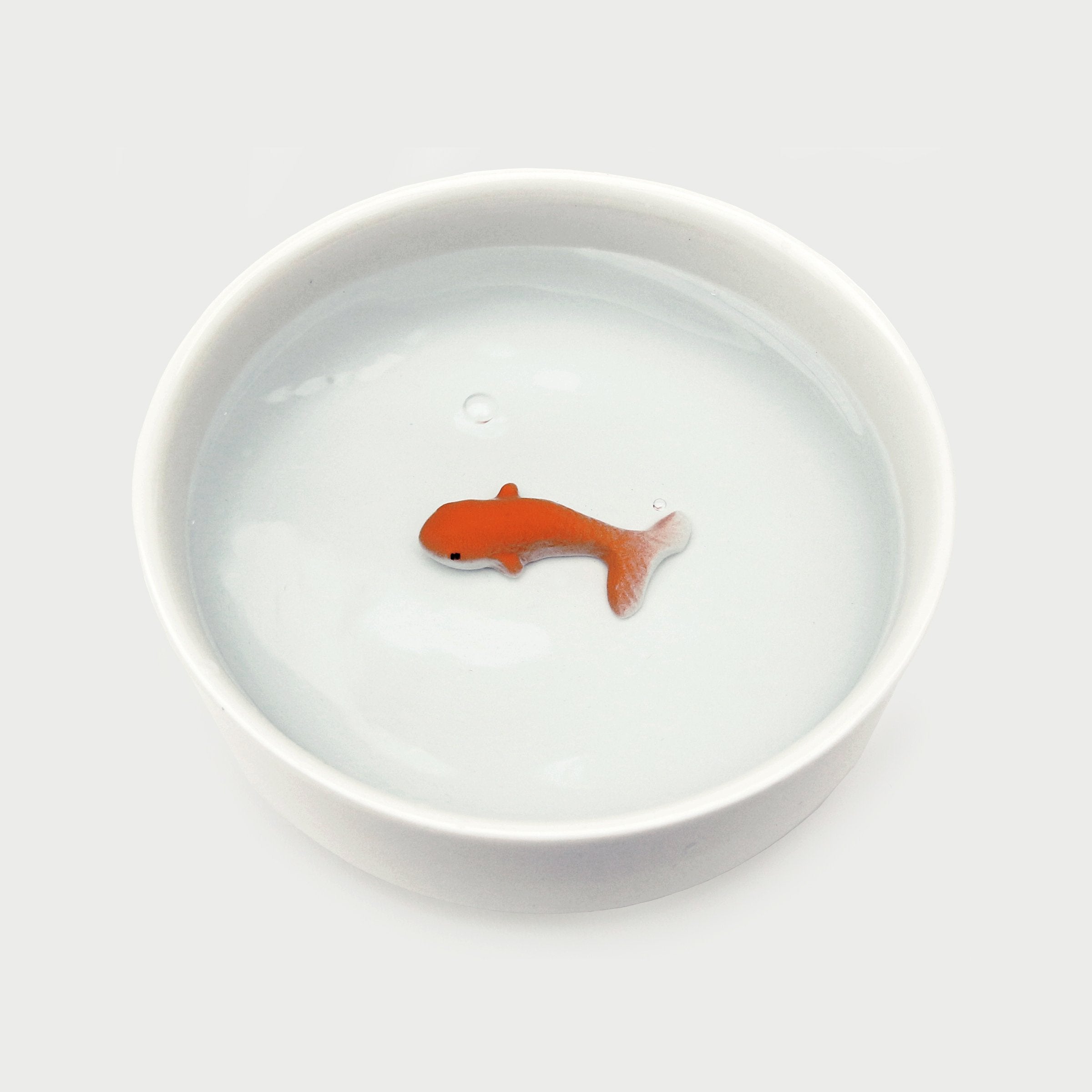 FISCH Fressnapf